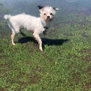 Meet your Posher, Deanna